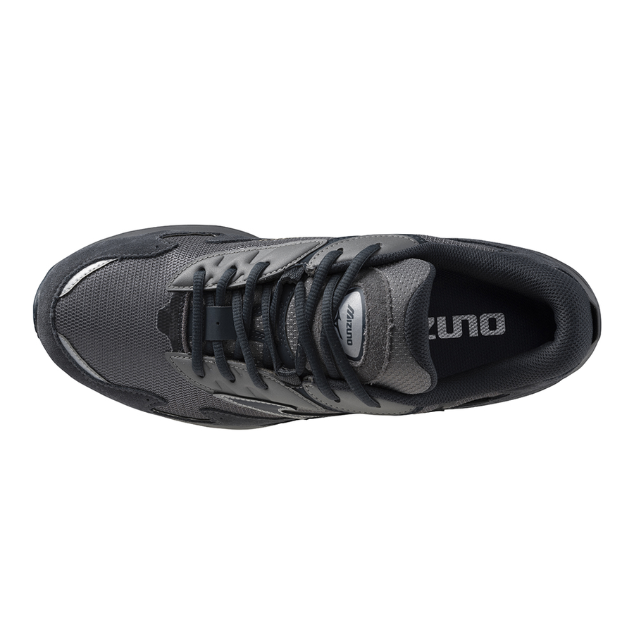 Mizuno WAVE RIDER Beta GTX Quiet shade/vulcan/silver